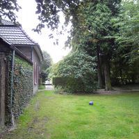 Garten2.jpg