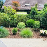 Terrasse 2. Ansicht.jpg