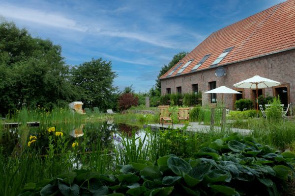 Schwimmteich 2. Ansicht.JPG