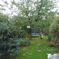 Garten.JPG