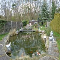 Gartenteich.JPG